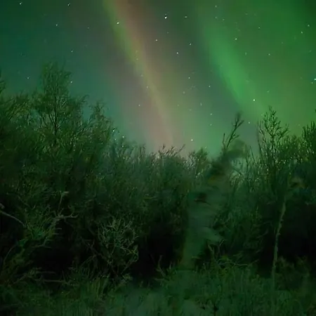 아파트 Iisland Aava