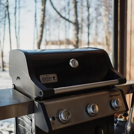 Iisland Aava 아파트 *