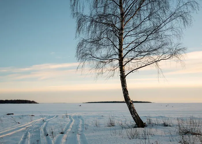 Апартаменты Iisland Aava Ий